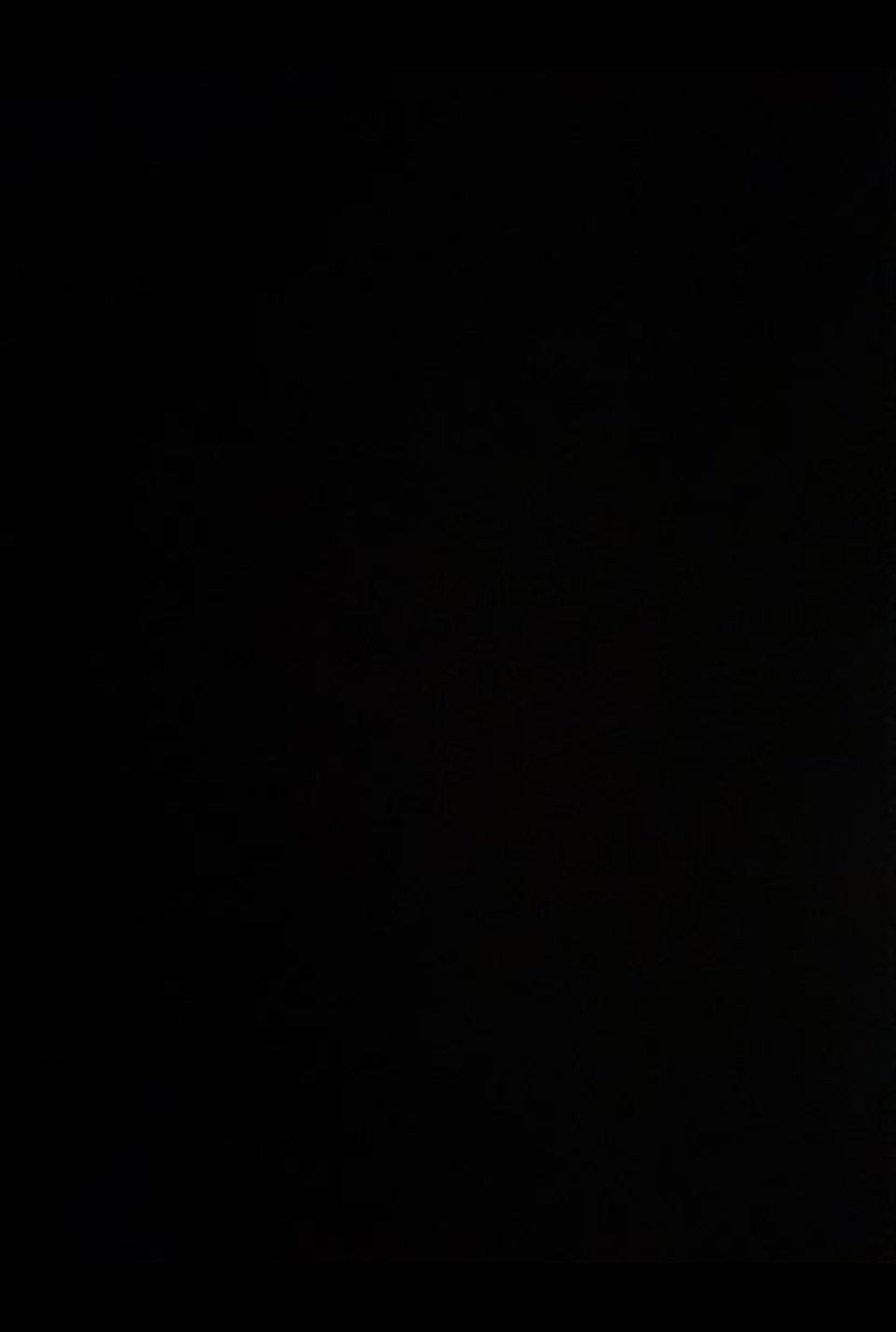 Dobbelt brusekabine døre